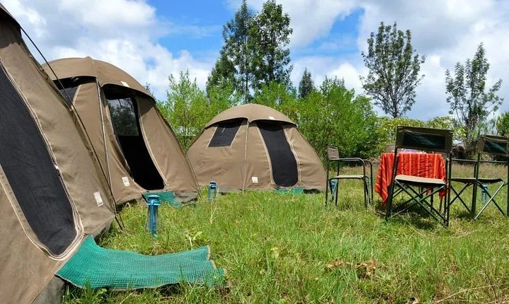 5 days into the heart of serengeti (serengeti, ngorongoro, lake manyara)