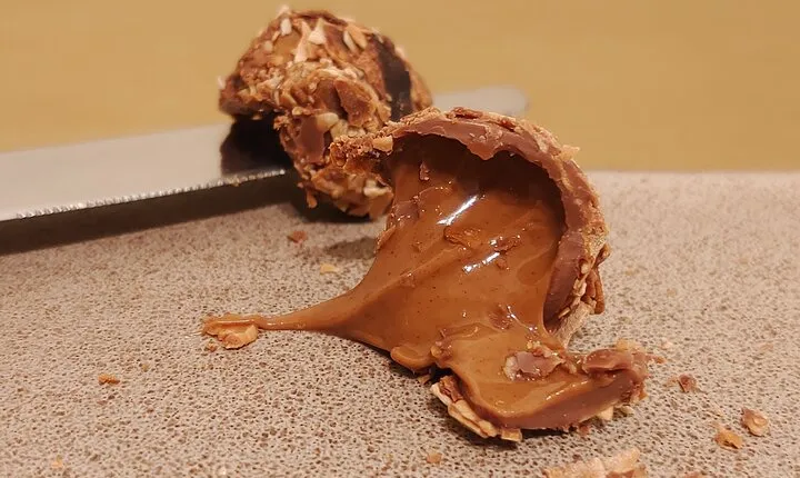 Private Chocolate Experience in Ghent