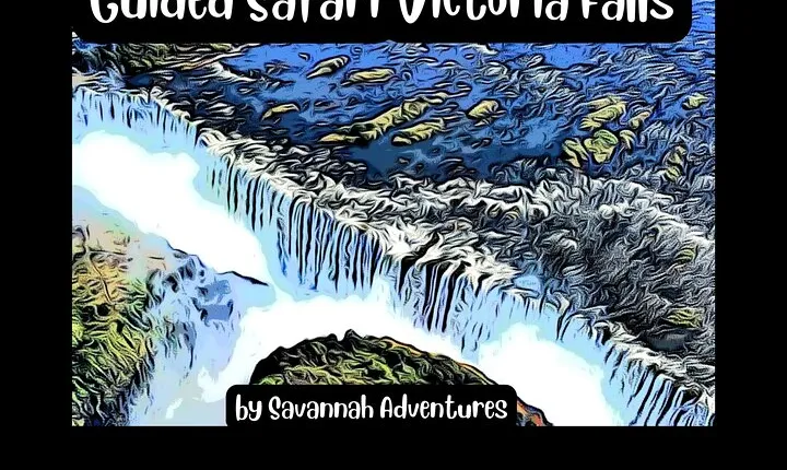 Guided Tour of the Falls (ZIM side) Wildlife Safari, by Savannah