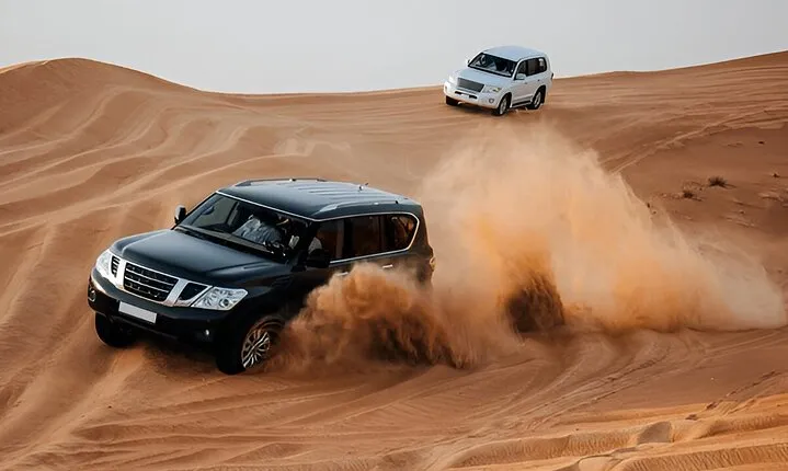 Desert Safari with Dune Bashing | BBQ Dinner | Camel Ride | STD