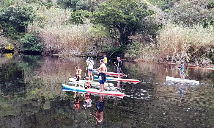 Guided 2-3hour stand up paddling and river trips on the keurbooms river