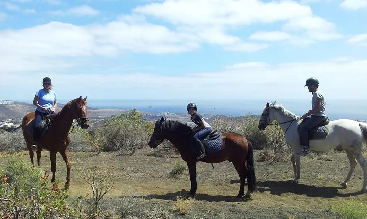 Relaxing Horse Riding Tour in Gran Canaria