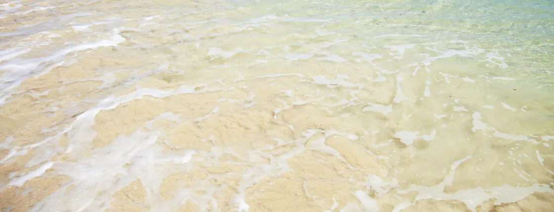 Fred Olsen Return Ferry Tickets to Fuerteventura