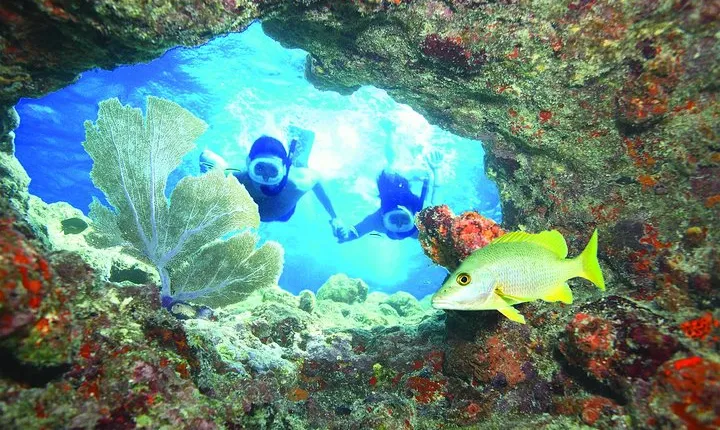 Key West Reef Snorkel – Morning Mimosas or Afternoon Margaritas