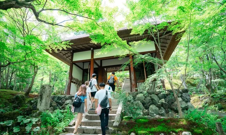 Kyoto Guided Walking Tour Discover a Different Side of Arashiyama
