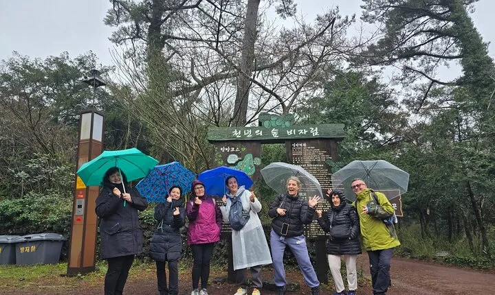 Jeju Private Half-Day Tour for Cruise Customers