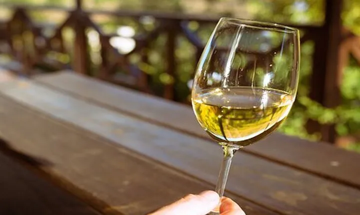 8 Hours Private Tour from Cape Winelands to Franchhoek