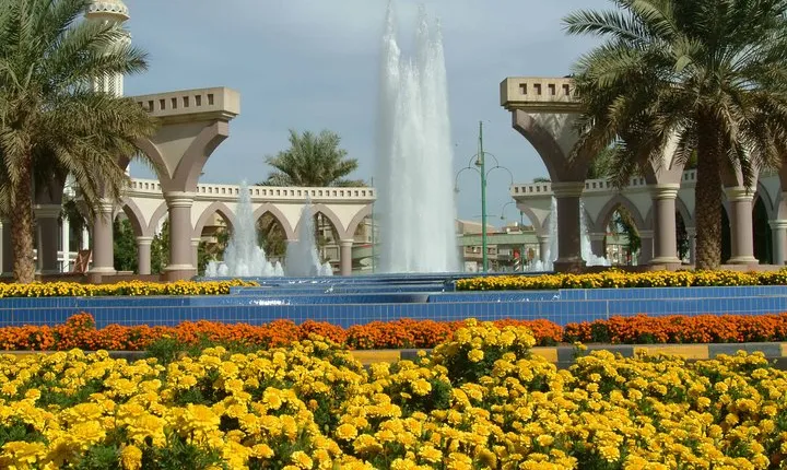Al Ain City Tours - Book a Day Trip to Al Ain with Lunch