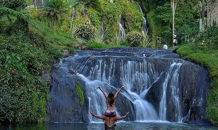 Santa Rosa de Cabal and Hot Springs Day Trip