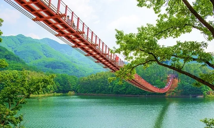 Private DMZ Peace Tour: 3rd Invasion Tunnel and Suspension Bridge
