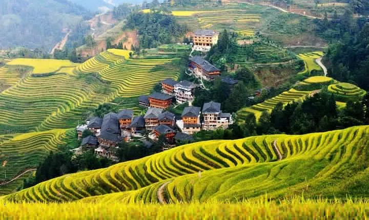 Private Day Tour to Longji Rice Terraces and Long Hair Village from Guilin