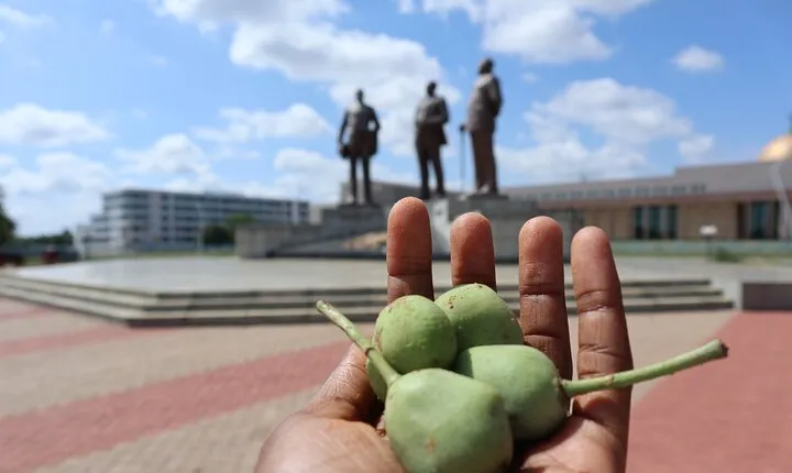 Multiday Tour From Gaborone : 2 day Gaborone Experience