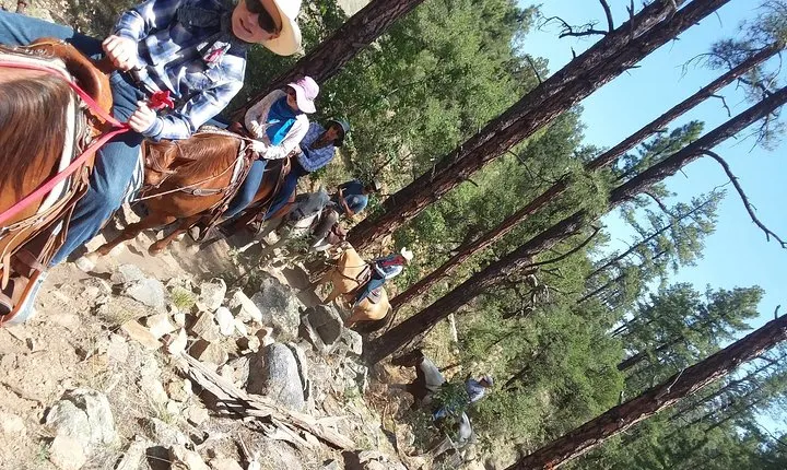 Horseback Ride for 2 or more