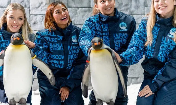 Ski Dubai