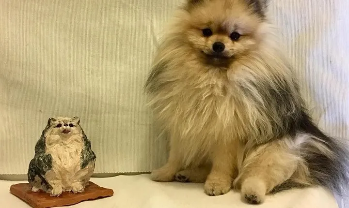 Sculpt to Florentine Pet