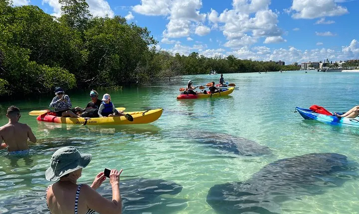 Self-Guided Island Tour: CLEAR/Standard Kayak, SUP-Bonita Springs