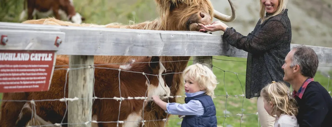 TSS Earnslaw cruise and Walter Peak farm tour