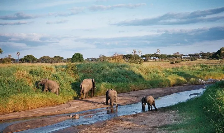 5 Days Tanzania Safari- Tarangire Np, Serengeti Np and Ngorongoro Crater