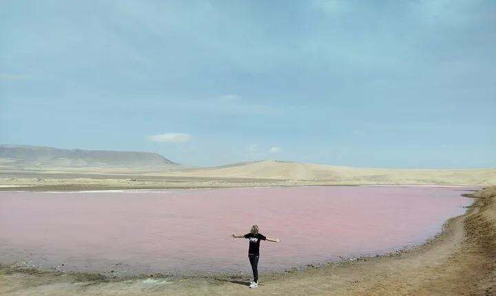 Paracas National Reserve Half Day Tour