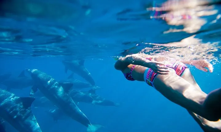 Hurghada Boat Trip to See Dolphins With Snorkeling and Lunch