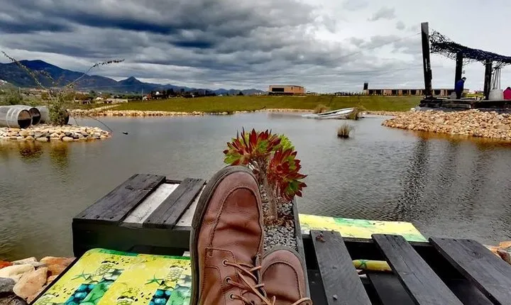 Tourist guide in the Wine Country (Valle de Guadalupe) Ensenada