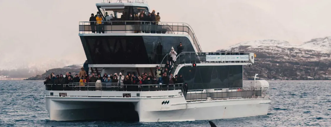 Silent whale watching tour by boat