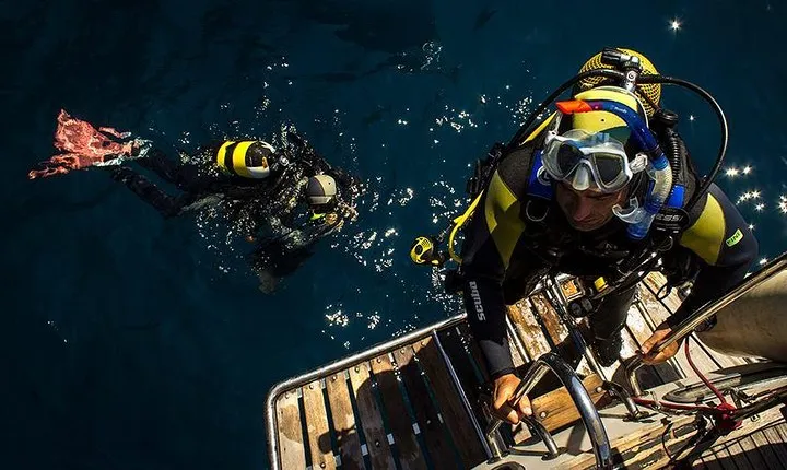 Scuba Diving Courses or Try Diving PADI or SSI