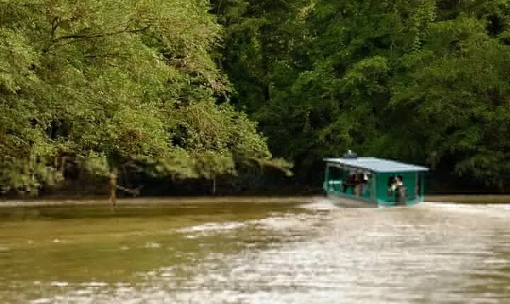 Safari Boat on Sarapiqui River with Lunch from San Jose
