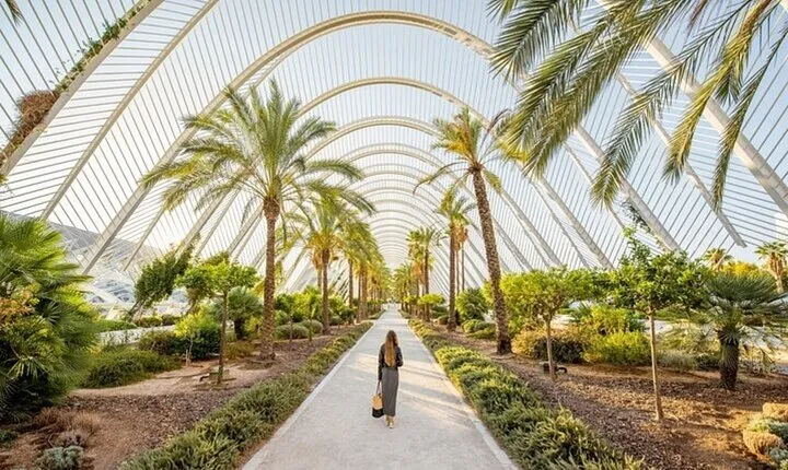 Valencia Must-See Attractions Walking Tour With Guide