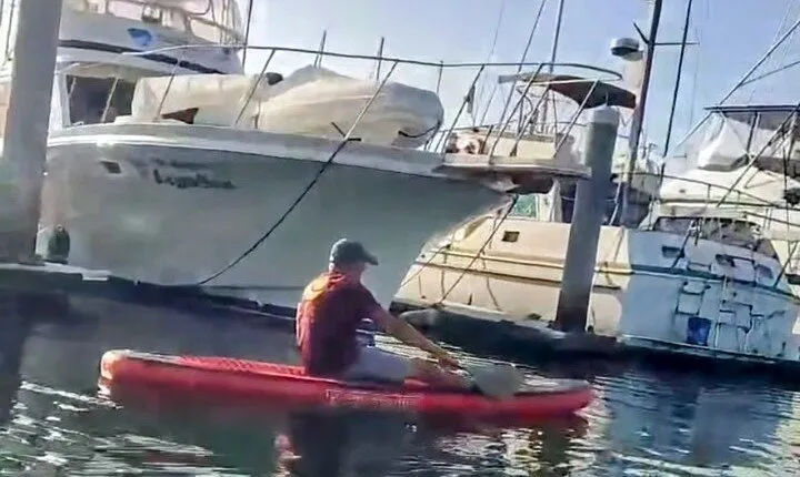 Paddle Board Picnics Lessons Rentals and Outdoor Adventures
