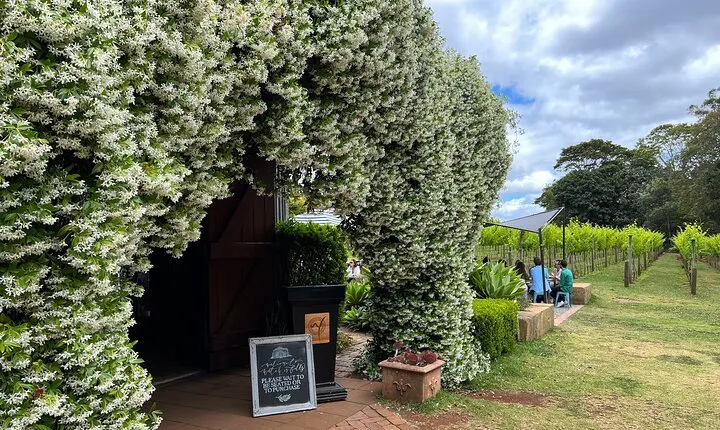 Deluxe Winery Tour to Tamborine Mountain (Mon-Tues)
