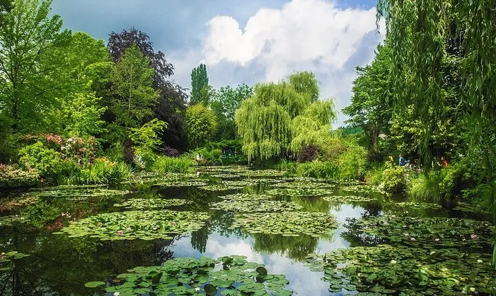 Private day trip from Paris to Giverny with a local driver