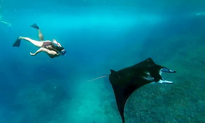 Snorkeling with Manta Rays in Nusa Penida