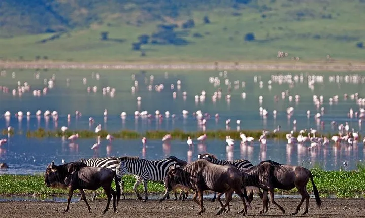 5 Day: Spectacular View of Ngorongoro Crater