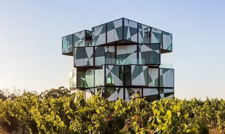 Small Group McLaren Vale and The Cube Experience
