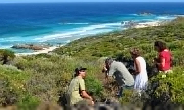 Margaret River Coastal and Wildlife Eco Trip from Busselton or Dunsborough