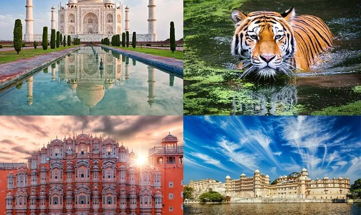 8 Day Delhi Agra Ranthambore Udaipur Jaipur Delhi Tour.