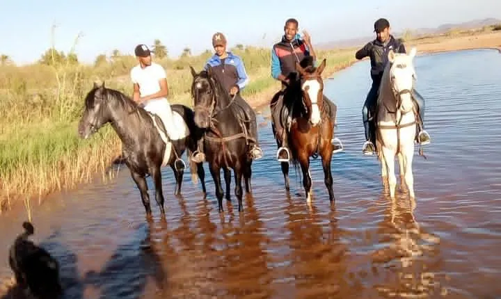 Ride the cast of famous Hollywood movies on set in their natural environment!