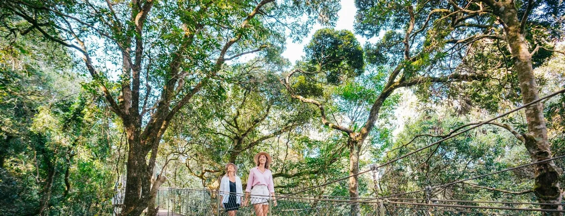 Lamington National Park, O'Reilly's and vineyard tour