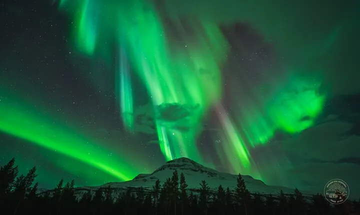 Small Group Northern Lights Chase with Photography from Tromsø