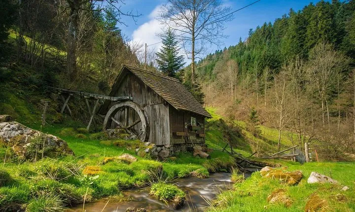 Culture and Traditions Hike through the Black Forest with a Local