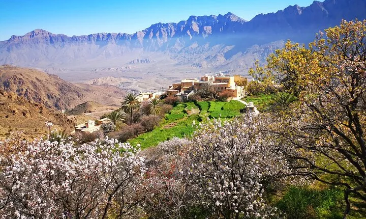 Full-Day Private Tour to Nakhal & Wakan