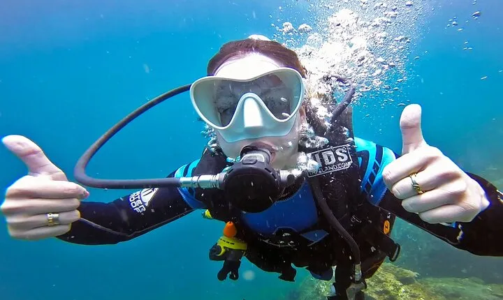 Scuba Diving Trip to Sail Rock From Koh Phangan (Certified Divers)