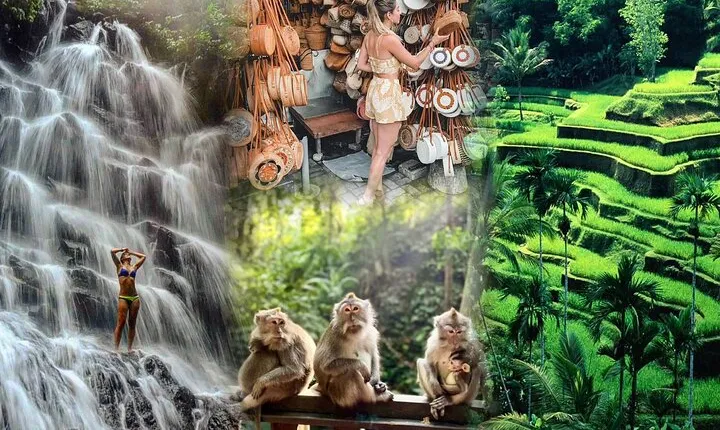Full Day Ubud Tour Waterfall Monkey Forest Rice Terrace