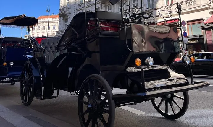 Vienna: 60 min. Royal E-Carriage Sightseeing Tour with Drinks