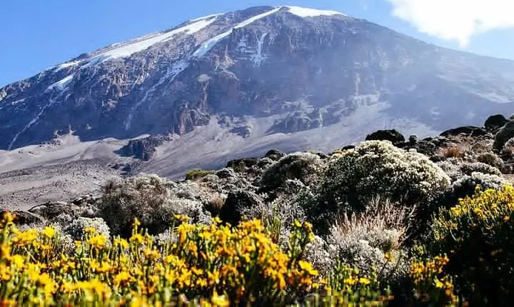 6 Days Umbwe Route - Mount Kilimanjaro 