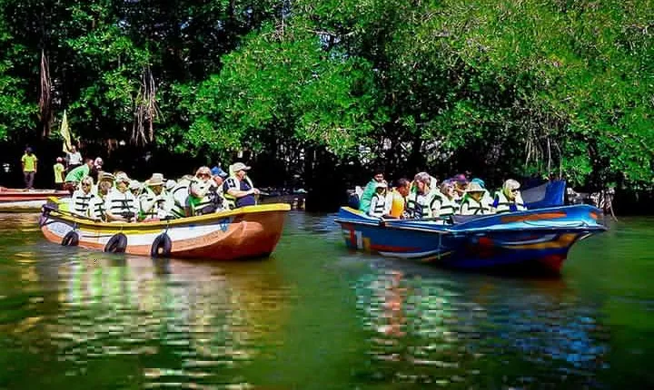 Madu River Boat Safari Balapitiya