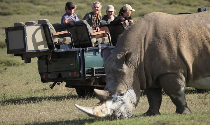Private Garden Route Tour from Cape Town with Game Drive