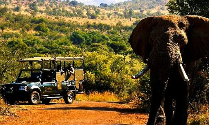 2 Day Pilanesberg national park Guided Tour