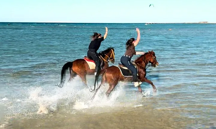 Horse Riding in the desert, Beach & Swimming in the sea-Hurghada
